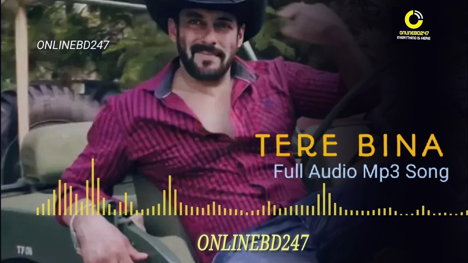 Tere Bina | Salman Khan new Romantic Song | Salman Khan