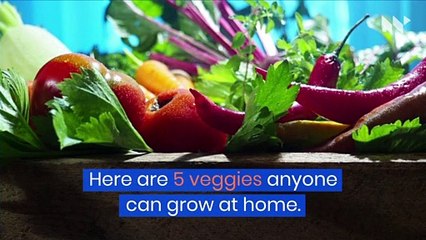 5 Easiest Vegetables to Grow at Home