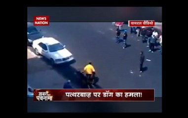 A video of Indian army using trained dogs against stone pelters went viral