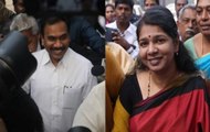 DMK Leaders Welcome A Raja, Kanimozhi After 2G, Chennai Decked up