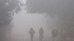 Speed News: Cold wave grips Delhi-NCR, visibility remains low