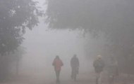 Speed News: Cold wave grips Delhi-NCR, visibility remains low