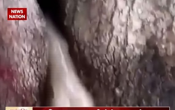 Khabron Ka Panchnama: Here's the truth behind the tree that emits drinking water