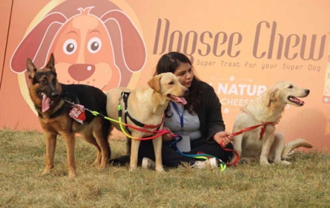Pet fest organised at NSIC Okhla ground