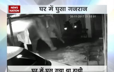 Elephant, calf enters house in search of food in Coimbatore