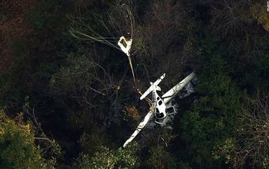 Britain: Aircraft and helicopter collide in mid-air in Buckinghamshire, 4 killed