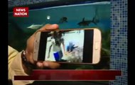 Khabron Ka Punchnama: Video showing fishes coming out of water goes viral
