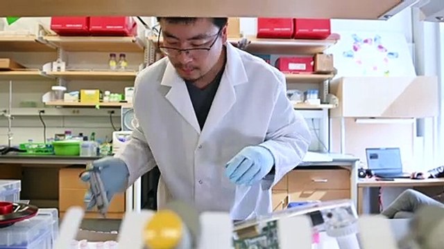 En EEUU, una vacuna experimental contra COVID-19 da primeros resultados alentadores