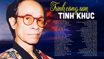 Tình Khúc TRỊNH CÔNG SƠN Xưa - Tuổi Đá Buồn, Biết Đâu Nguồn Cội - TÌNH CA XƯA Phòng Trà Sang Trọng