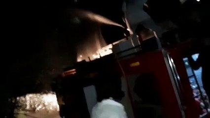 आगरिया में टिड्डियों ने डाला डेरा