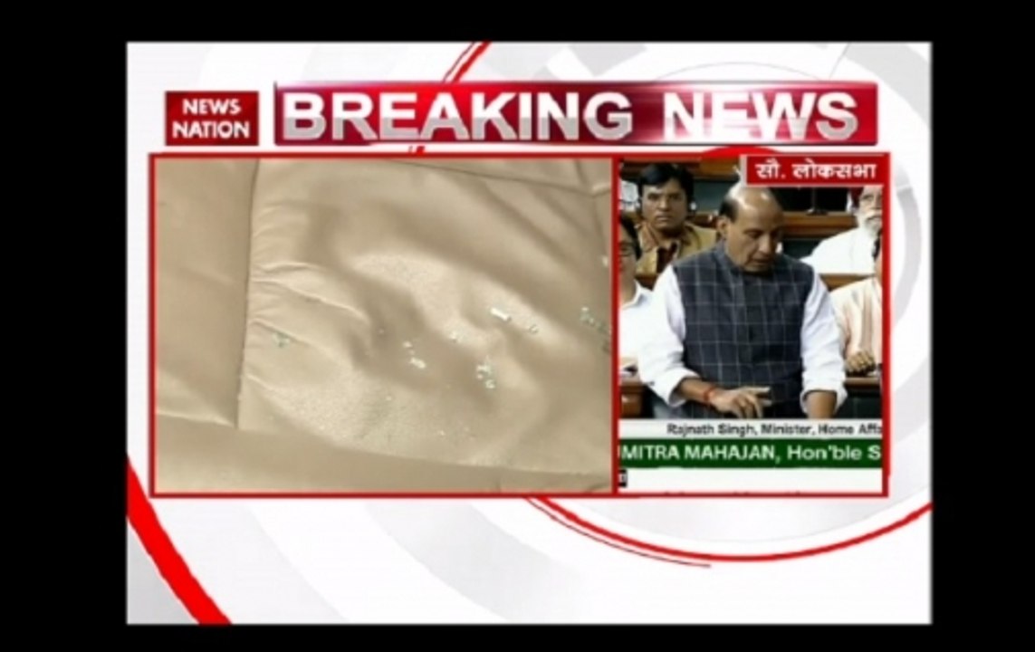 Rajnath Singh:Cong vice president did not listen to police  or SPG officials but only his personal secretary