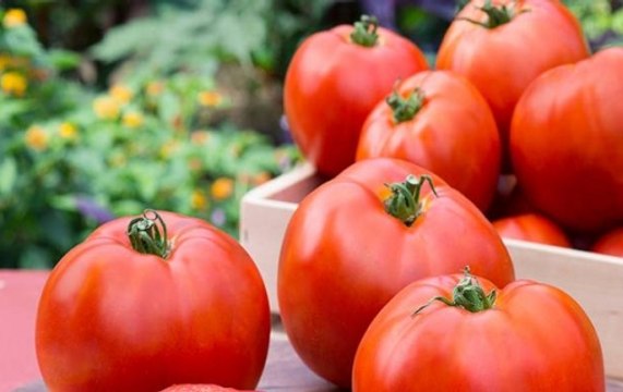 Monsoon 2017: Prices of staple vegetables see a rise
