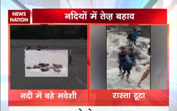 Uttarkashi floods: Cows washed away as rain batter Uttarakhand