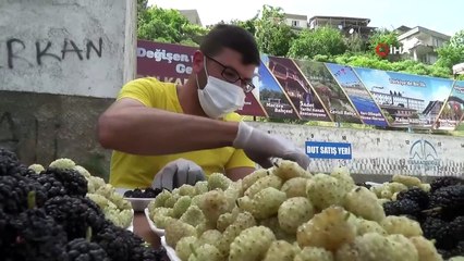 Şifa deposu ‘dut’ tezgahlarda yerini aldı