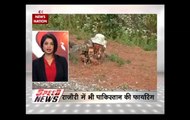 Speed News: Pakistan violates ceasefire in Rajouri, Poonch; draws retaliation from Indian Army