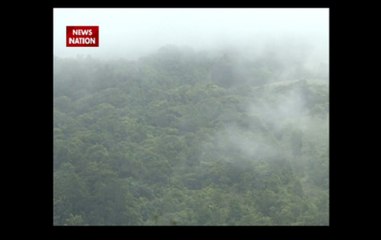 Watch: Colors of monsoon in lush greenery of Coorg