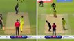 World Cup matches and best Catches in Cricket Worldcup 2019
