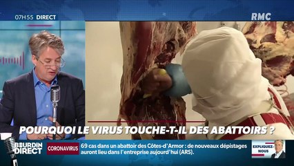 Nicolas Poincaré : Pourquoi le virus touche-t-il des abattoirs ? - 19/05