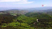 Türkiye'nin akciğerlerinden biri 'Kunduz Ormanları': Hem istihdama hem de çevreye dev katkı sağlıyor
