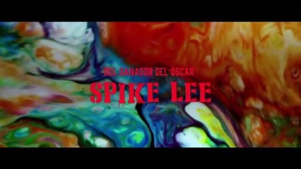 Da 5 Bloods Hermanos de armas Película