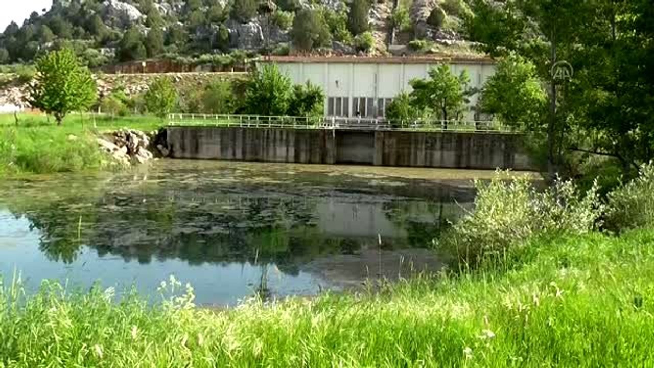 Beyşehir Gölü kenarındaki atıl sulama pompa istasyonunda toplu balık ölümü