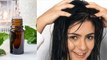 पुदीने के तेल से करें बालों की चम्पी, फायदे सुनकर हैरान हो जाएंगे | Peppermint Oil For Hair |Boldsky
