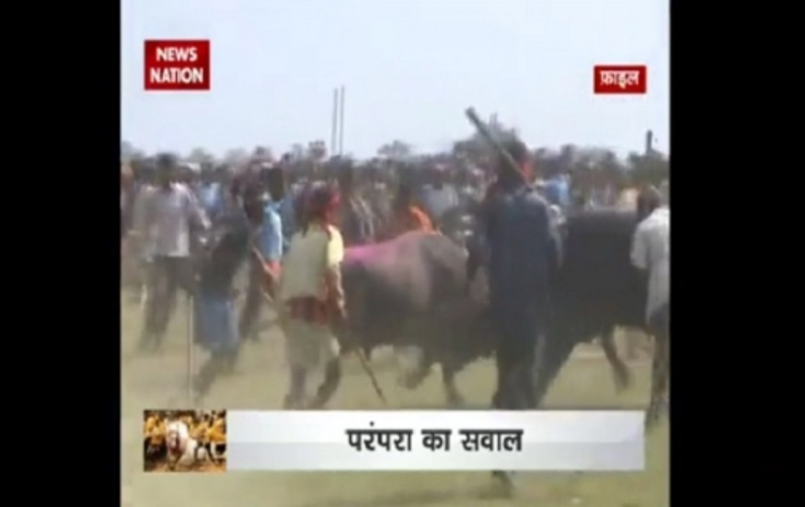 Nation Agenda Animal welfare groups question tradition of sports