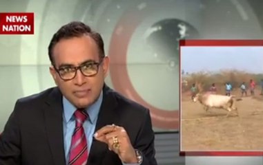 Zero Hour: Huge protests against Jallikattu ban