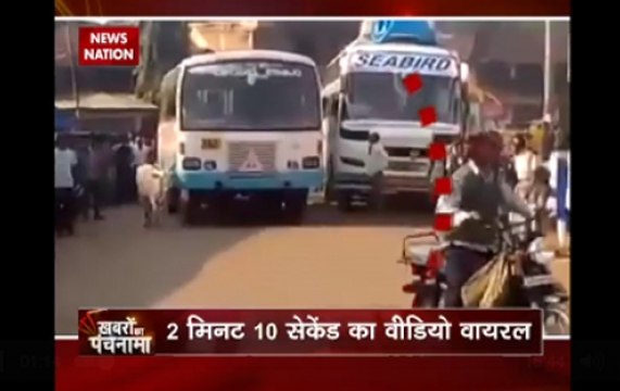 Khabron Ka Punchnama: Viral video of cow in Karnataka