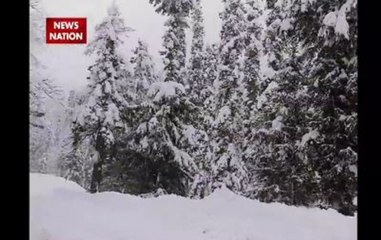 Question Hour: Cold wave sweeps in north India after heavy snowfall in mountain areas