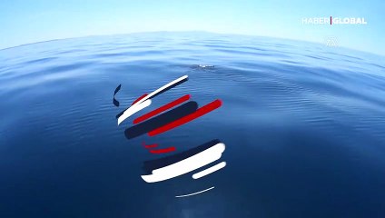 Boyu 2 metreye ulaşan 'şeytan mantası' böyle görüntülendi