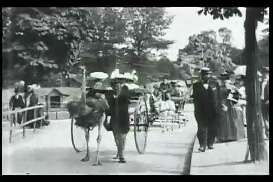 Autruches (Avestruces) [1895]