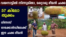 വയനാട്ടിലെ തവിഞ്ഞാലിൽ വീണ്ടും ഭീമൻ ചക്ക : Oneindia Malayalam