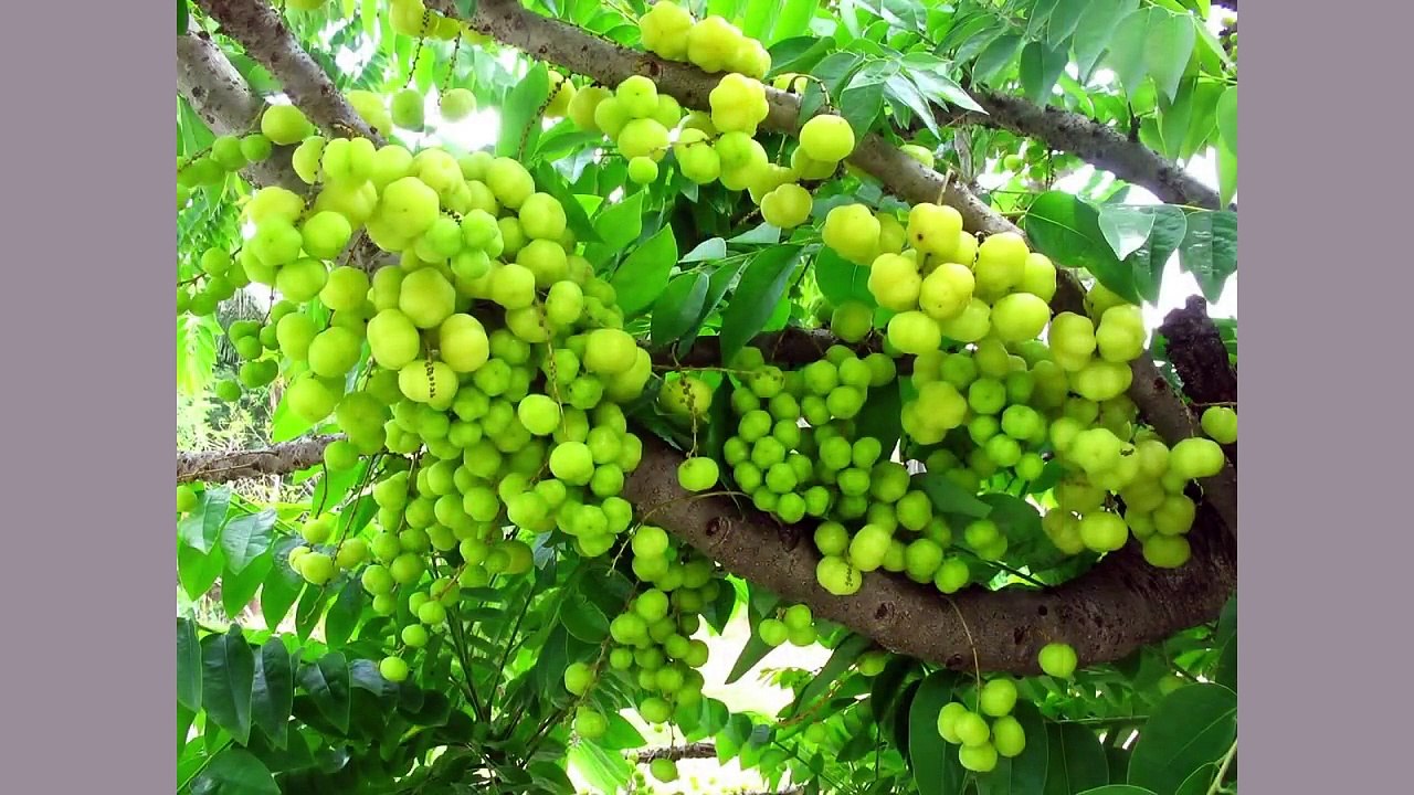 How To Stop And Reduce Hair Fall - Patrika Beauty Tips