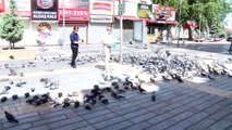 Kayseri'de sokağa çıkma kısıtlamasında güvercinleri beslediler