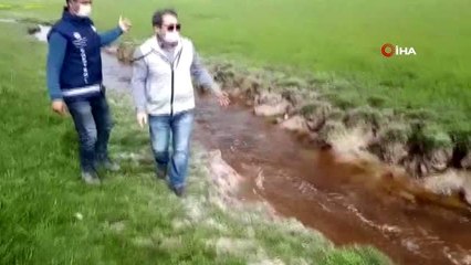 Van'daki balıkların yüksek su sıcaklığından öldüğü tespit edildi