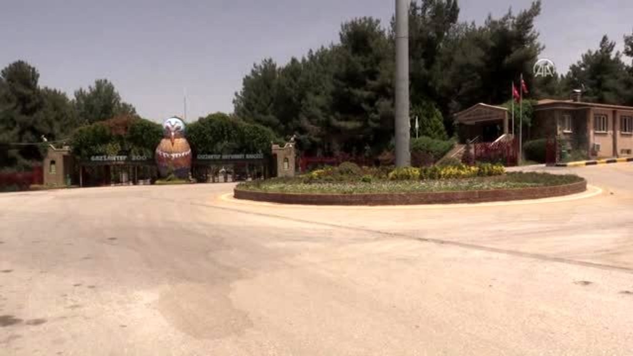 Hayvanat sakinleri "buzlu kokteyl"le serinliyor