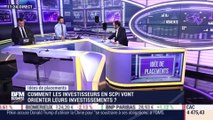 Idées de placements : Comment les investisseurs en SCPI vont orienter leurs investissements ? - 19/05