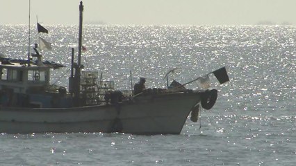 어민 소득보전 대폭 확대...수산직불금 4개 분야로 늘려 / YTN