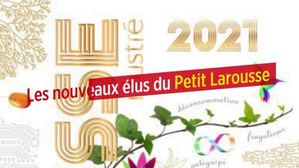 Les nouveaux élus du Petit Larousse