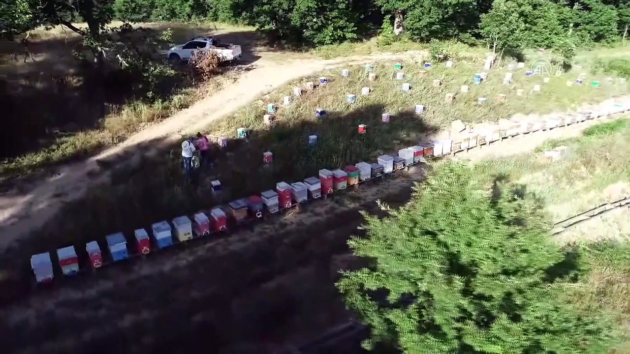 Bağışıklık sistemini güçlendirmek isteyenler arı ürünlerine yöneldi - KIRKLARELİ