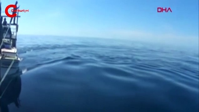 Kılıç balığı avlamak isterken 'şeytan mantası'nı görütülediler