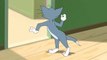 Tom and Jerry New Cartoons Full entertainment