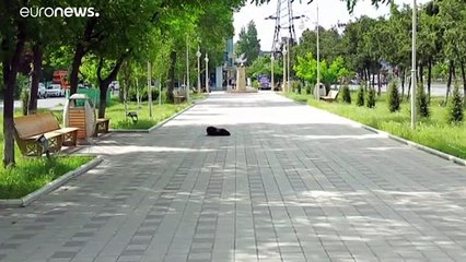 COVID-19: Δύσκολη η κατάσταση στο Νταγκεστάν