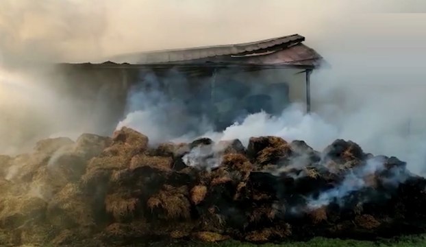 Campagna Lupia (VE) - Rogo in un fienile: bruciate 3 tonnellate di foraggio (18.05.20)