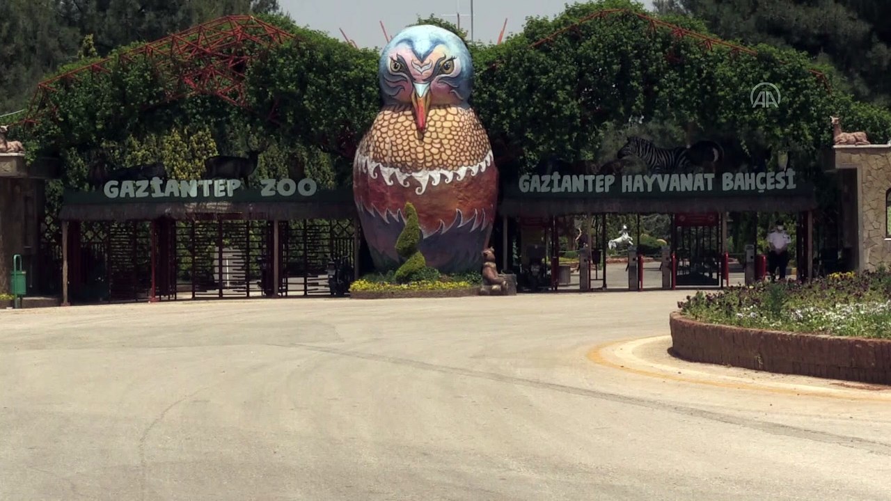 Hayvanat sakinleri 'buzlu kokteyl'le serinliyor - GAZİANTEP