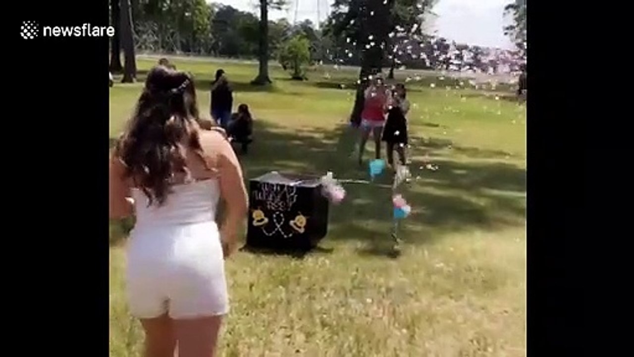 US woman shot in the foot by dart after gender reveal goes wrong