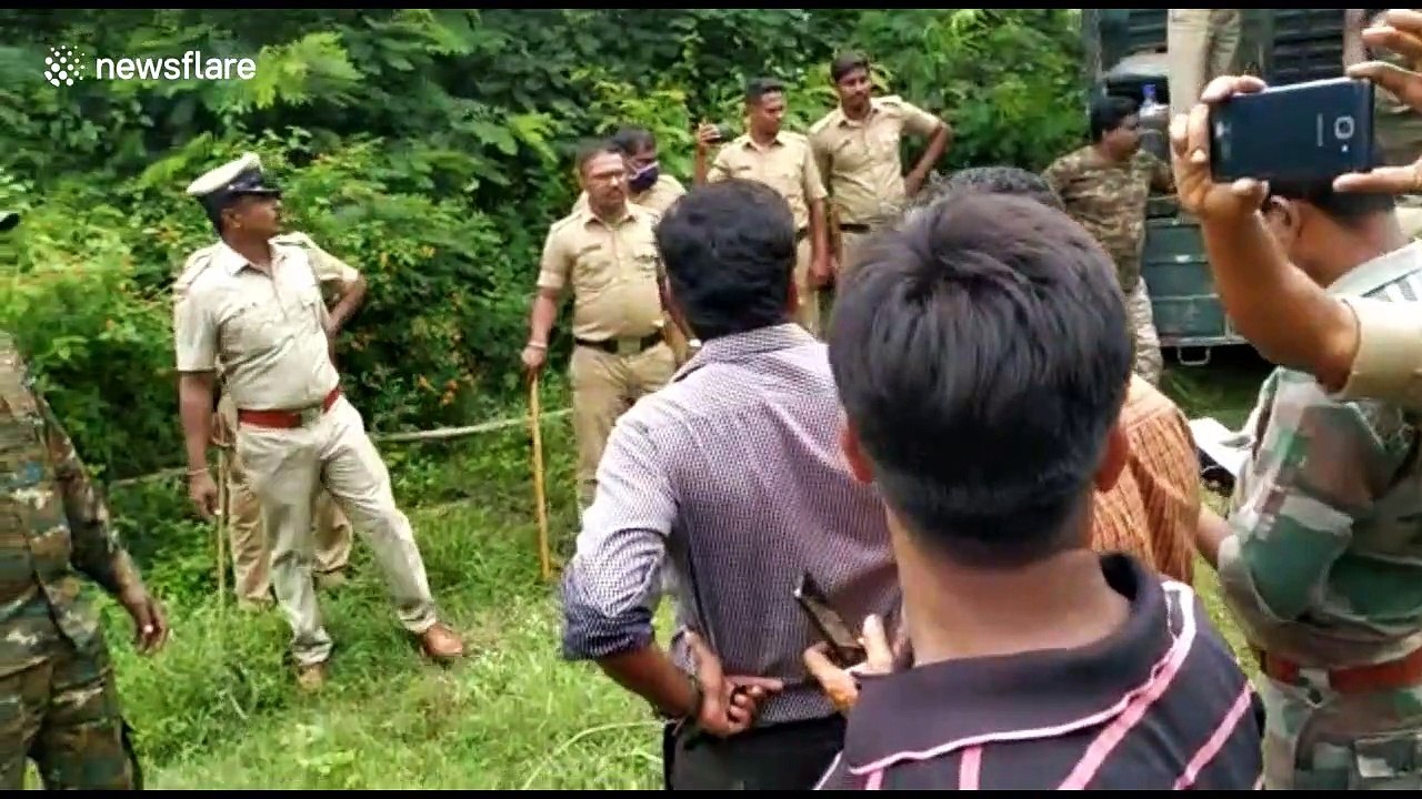 Over 100 Indian officials involved in effort to capture elusive cattle-killing tiger