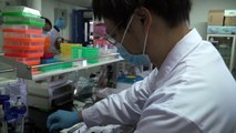 Laboratório chinês espera deter pandemia 'sem vacina'