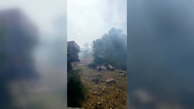 Yangında 5 hektar orman alanı zarar gördü